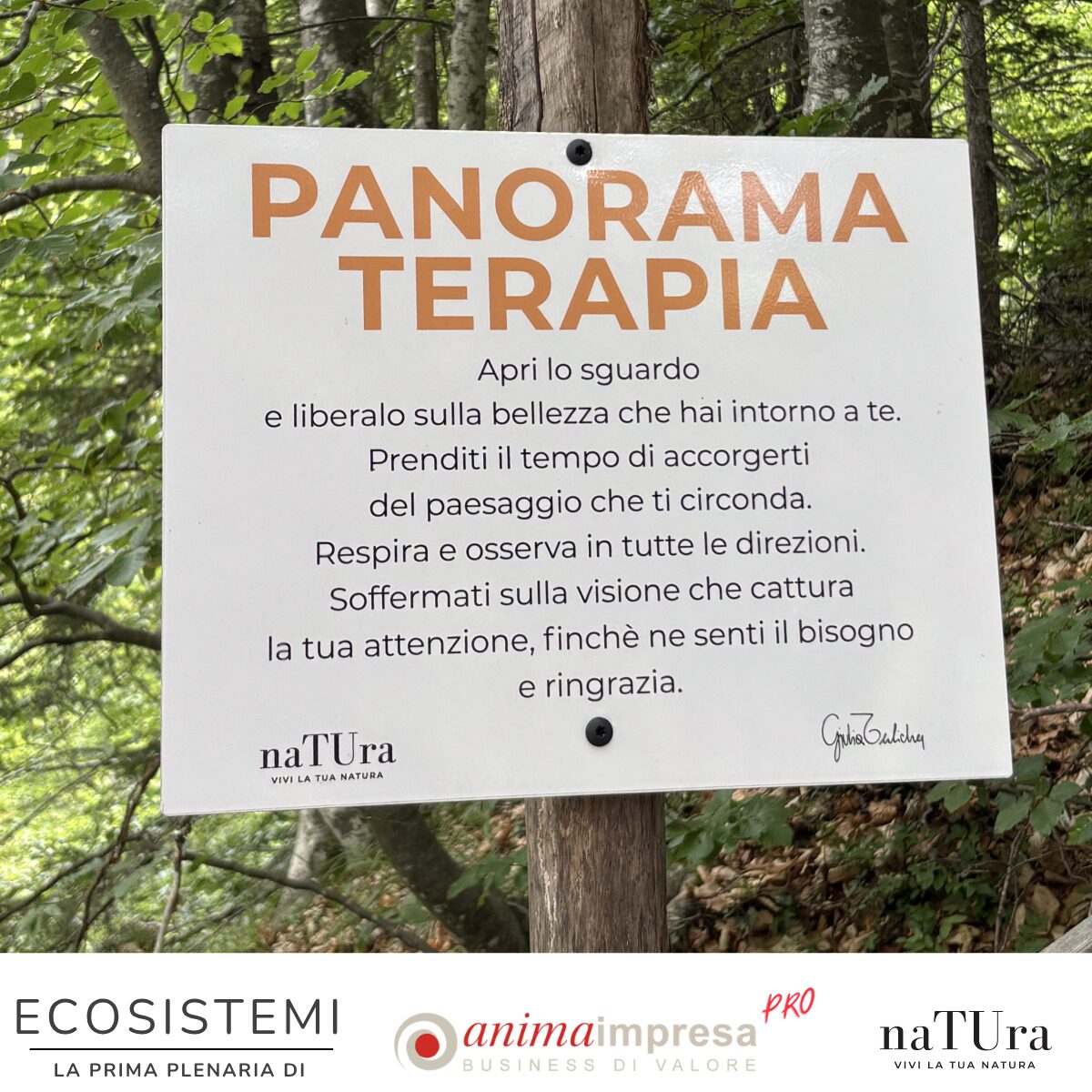 Ecosistemi 2