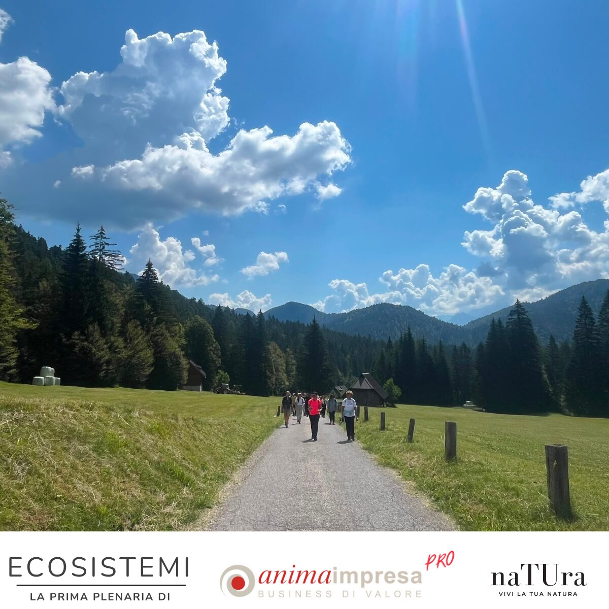 Ecosistemi 3