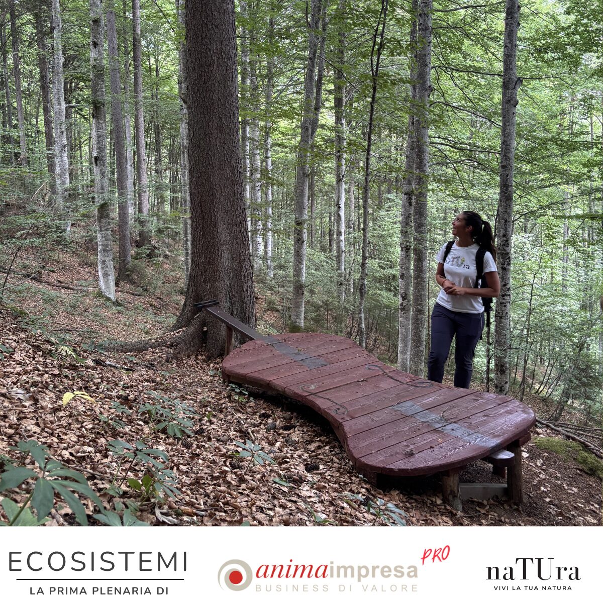 Ecosistemi 5
