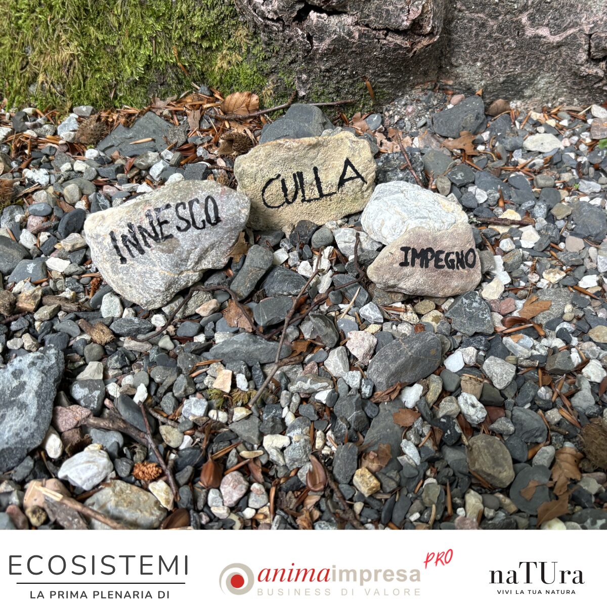 Ecosistemi 6