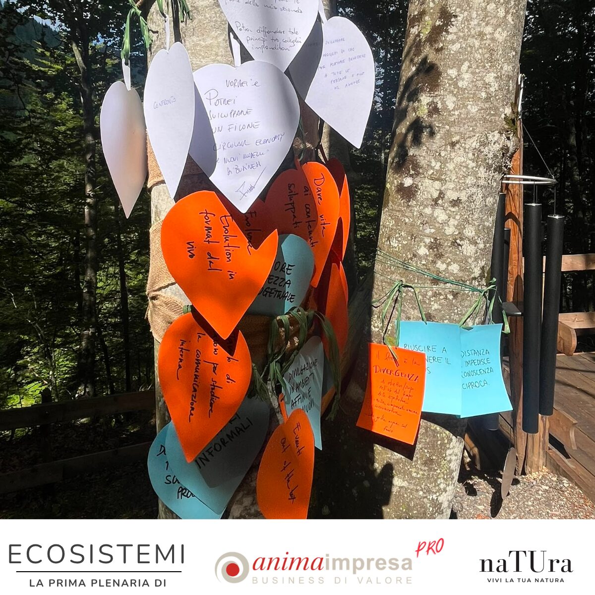 Ecosistemi 7