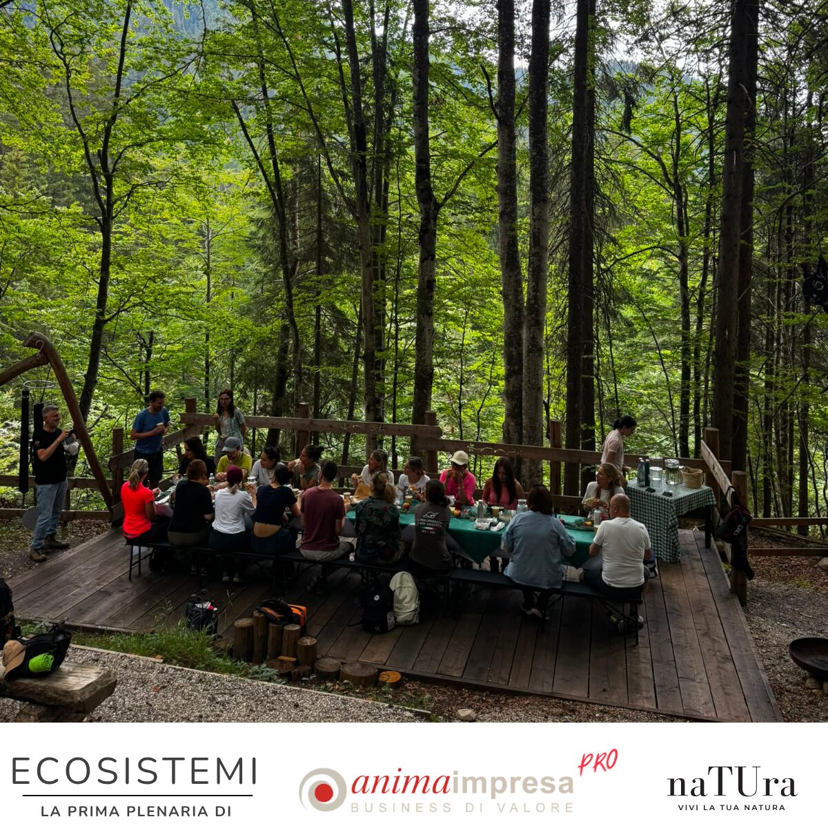 Ecosistemi 8