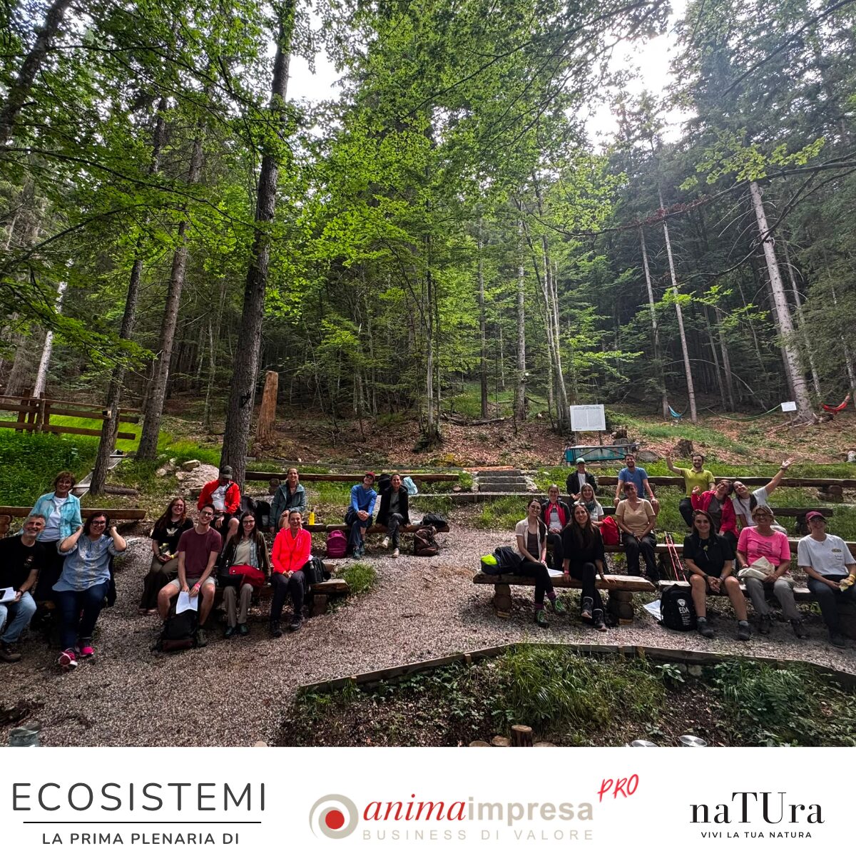 Ecosistemi 9